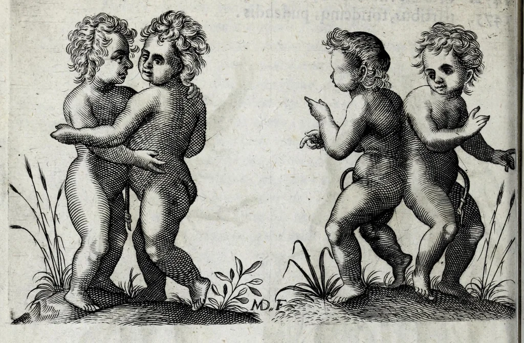 An illustration from De monstrorum caussis, natura, et differentiis libri duo : in quibus ex rei natura monstrorum historiae, caussae, generationes, & differentiae plurimae a sapientibus intactae : cum generatim & in plantarum, & belluarum genere, tum seorsum in humana specie tractantur : multis illustrium autorum locis difficillimis explanatis de masculo parturiente, de feminis in viros mutatis, de hermaphroditorum natura, de dissimilium specierum : venere prolifica, de castratorum fecunditate, depuero lapidescente, de anomantis aurea parte, alijsque admirabilibus, 1634, leaf 110