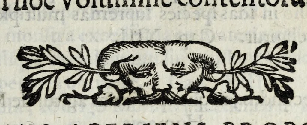 An illustration from De monstrorum caussis, natura, et differentiis libri duo : in quibus ex rei natura monstrorum historiae, caussae, generationes, & differentiae plurimae a sapientibus intactae : cum generatim & in plantarum, & belluarum genere, tum seorsum in humana specie tractantur : multis illustrium autorum locis difficillimis explanatis de masculo parturiente, de feminis in viros mutatis, de hermaphroditorum natura, de dissimilium specierum : venere prolifica, de castratorum fecunditate, depuero lapidescente, de anomantis aurea parte, alijsque admirabilibus, 1634, leaf 19