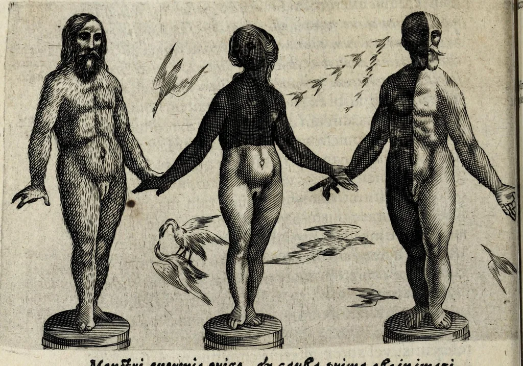 An illustration from De monstrorum caussis, natura, et differentiis libri duo : in quibus ex rei natura monstrorum historiae, caussae, generationes, & differentiae plurimae a sapientibus intactae : cum generatim & in plantarum, & belluarum genere, tum seorsum in humana specie tractantur : multis illustrium autorum locis difficillimis explanatis de masculo parturiente, de feminis in viros mutatis, de hermaphroditorum natura, de dissimilium specierum : venere prolifica, de castratorum fecunditate, depuero lapidescente, de anomantis aurea parte, alijsque admirabilibus, 1634, leaf 192