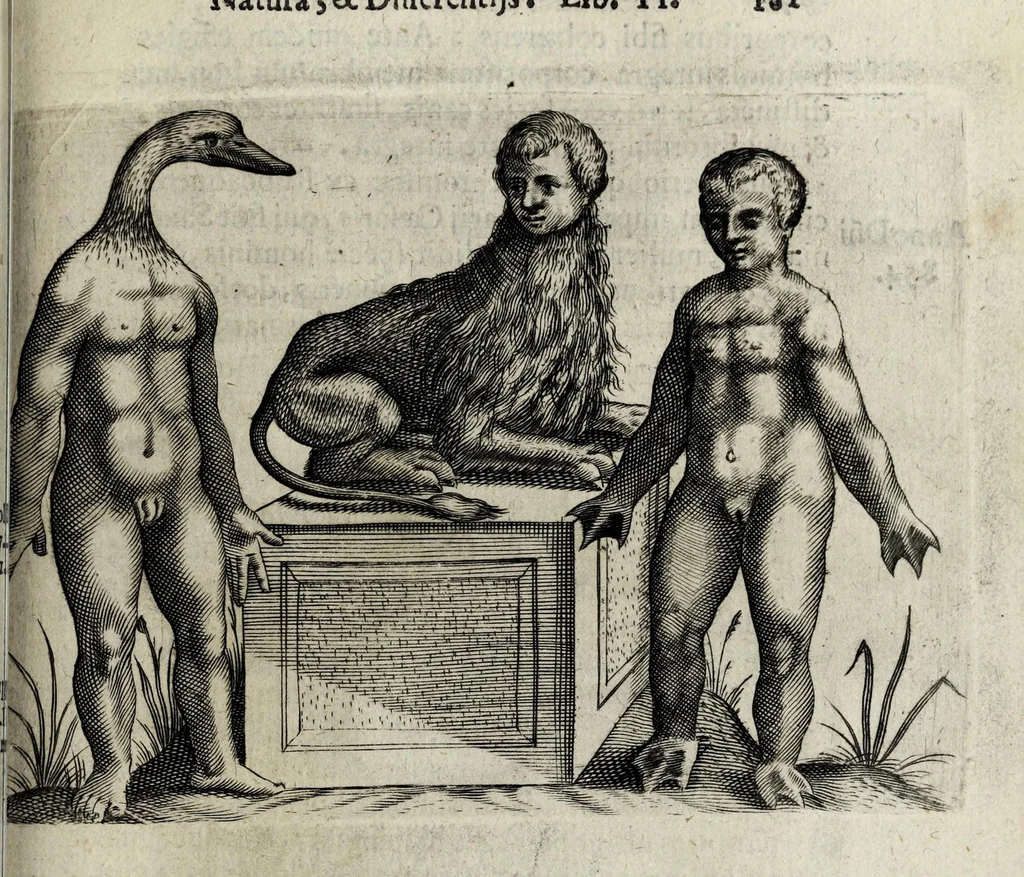 An illustration from De monstrorum caussis, natura, et differentiis libri duo : in quibus ex rei natura monstrorum historiae, caussae, generationes, & differentiae plurimae a sapientibus intactae : cum generatim & in plantarum, & belluarum genere, tum seorsum in humana specie tractantur : multis illustrium autorum locis difficillimis explanatis de masculo parturiente, de feminis in viros mutatis, de hermaphroditorum natura, de dissimilium specierum : venere prolifica, de castratorum fecunditate, depuero lapidescente, de anomantis aurea parte, alijsque admirabilibus, 1634, leaf 219