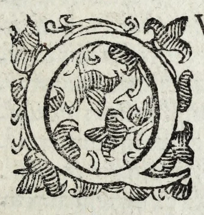 An illustration from De monstrorum caussis, natura, et differentiis libri duo : in quibus ex rei natura monstrorum historiae, caussae, generationes, & differentiae plurimae a sapientibus intactae : cum generatim & in plantarum, & belluarum genere, tum seorsum in humana specie tractantur : multis illustrium autorum locis difficillimis explanatis de masculo parturiente, de feminis in viros mutatis, de hermaphroditorum natura, de dissimilium specierum : venere prolifica, de castratorum fecunditate, depuero lapidescente, de anomantis aurea parte, alijsque admirabilibus, 1634, leaf 29