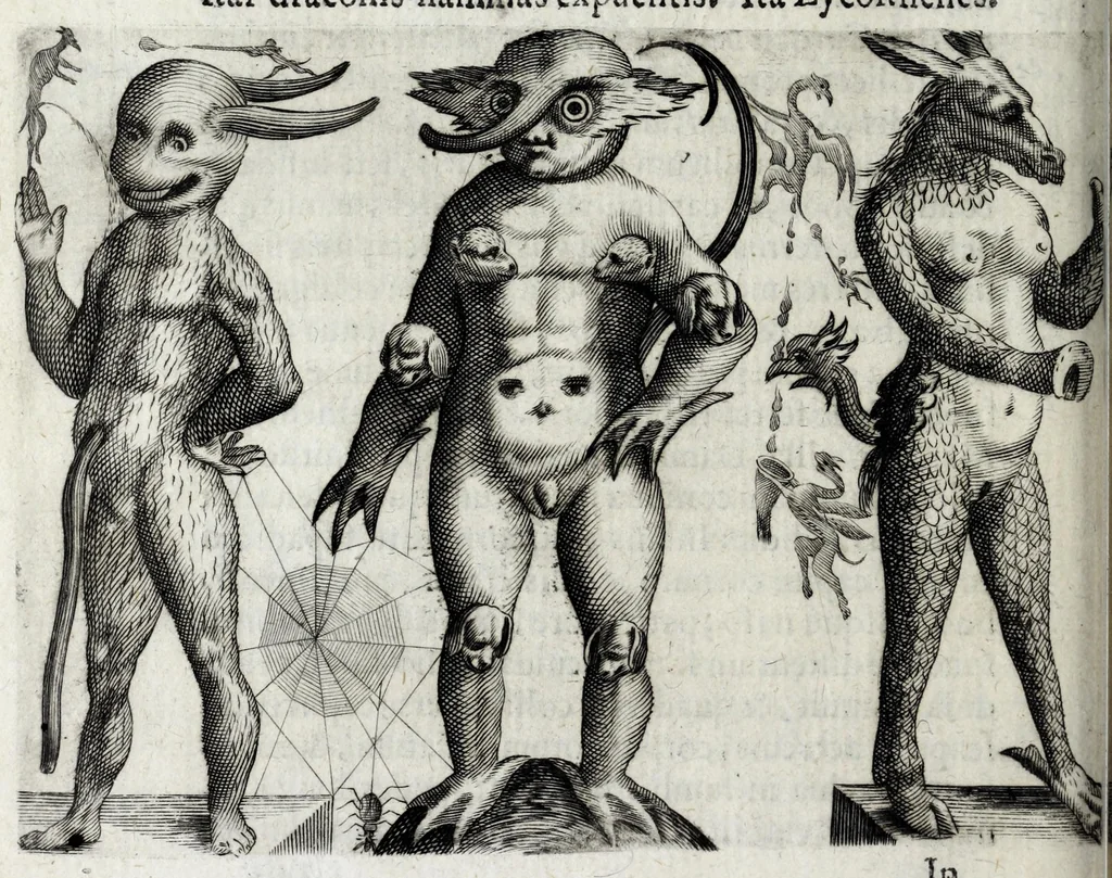 An illustration from De monstrorum caussis, natura, et differentiis libri duo : in quibus ex rei natura monstrorum historiae, caussae, generationes, & differentiae plurimae a sapientibus intactae : cum generatim & in plantarum, & belluarum genere, tum seorsum in humana specie tractantur : multis illustrium autorum locis difficillimis explanatis de masculo parturiente, de feminis in viros mutatis, de hermaphroditorum natura, de dissimilium specierum : venere prolifica, de castratorum fecunditate, depuero lapidescente, de anomantis aurea parte, alijsque admirabilibus, 1634, leaf 298