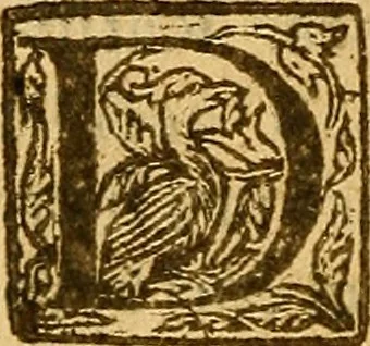 An illustration from De morbis & affectis mulierum, 1619, leaf 15