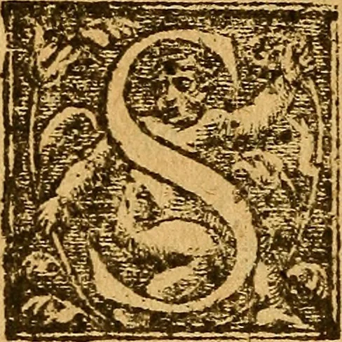 An illustration from De morbis & affectis mulierum, 1619, leaf 165