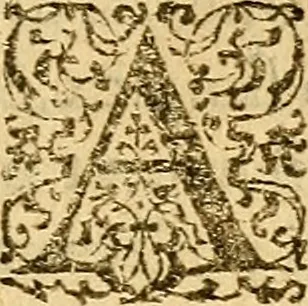 An illustration from De morbis & affectis mulierum, 1619, leaf 180