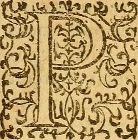 An illustration from De morbis & affectis mulierum, 1619, leaf 206