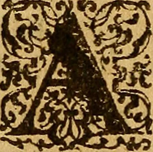 An illustration from De morbis & affectis mulierum, 1619, leaf 215