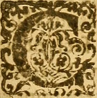 An illustration from De morbis & affectis mulierum, 1619, leaf 246