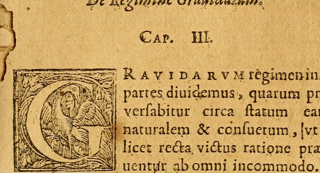 An illustration from De morbis & affectis mulierum, 1619, leaf 304