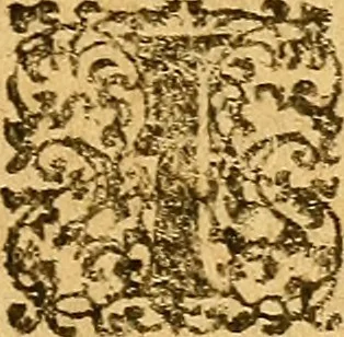 An illustration from De morbis & affectis mulierum, 1619, leaf 354
