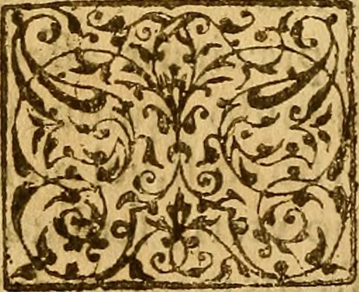 An illustration from De morbis & affectis mulierum, 1619, leaf 419