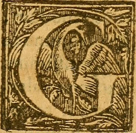 An illustration from De morbis & affectis mulierum, 1619, leaf 420