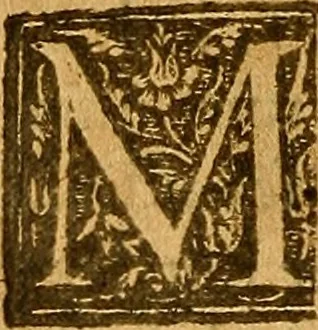 An illustration from De morbis & affectis mulierum, 1619, leaf 433