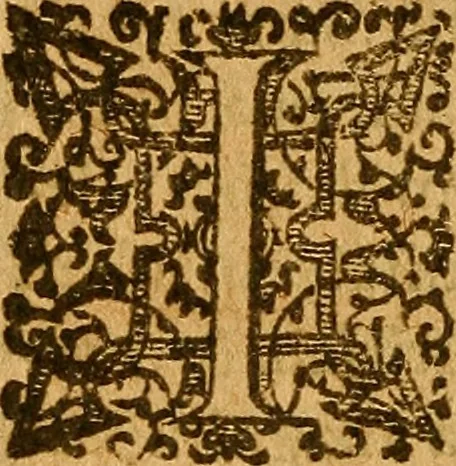 An illustration from De morbis & affectis mulierum, 1619, leaf 447