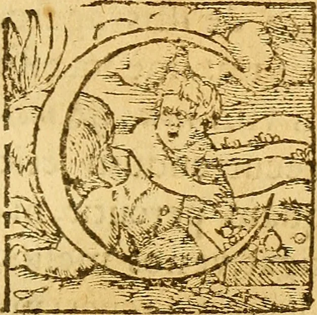 An illustration from De morbis & affectis mulierum, 1619, leaf 6