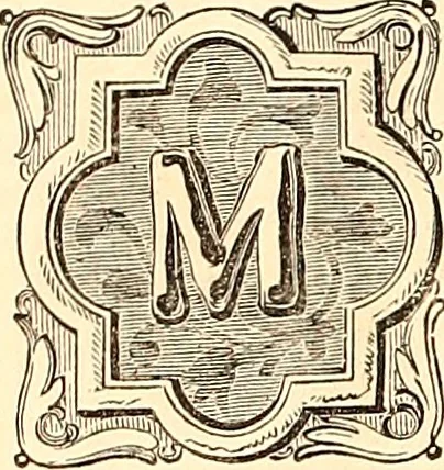 An illustration from Demorest's illustrated monthly and Mme Demorest's mirror of fashions, 1865 April, 1865, leaf 15