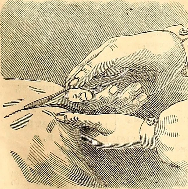 An illustration from Demorest's illustrated monthly and Mme Demorest's mirror of fashions, 1865 April, 1865, leaf 22