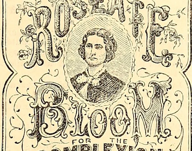 An illustration from Demorest's illustrated monthly and Mme Demorest's mirror of fashions, 1865 April, 1865, leaf 22