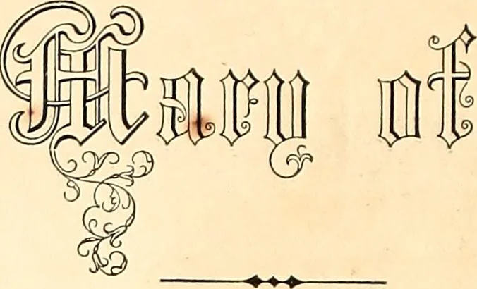 An illustration from Demorest's illustrated monthly and Mme Demorest's mirror of fashions, 1865 April, 1865, leaf 3