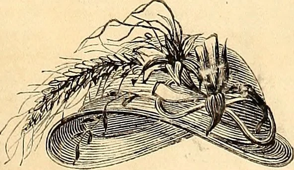 An illustration from Demorest's illustrated monthly and Mme Demorest's mirror of fashions, 1865 April, 1865, leaf 8