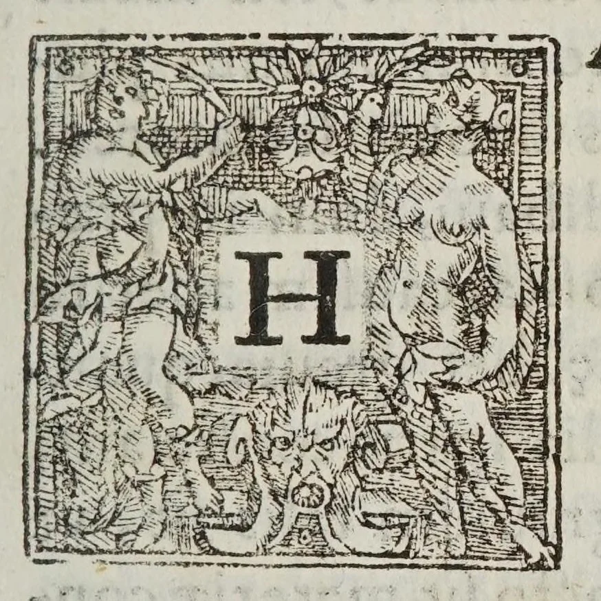 An illustration from De motv natvrali; gravivm solidorvm et liqvidorvm, 1646, leaf 101