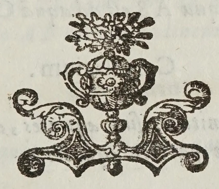 An illustration from De motv natvrali; gravivm solidorvm et liqvidorvm, 1646, leaf 119