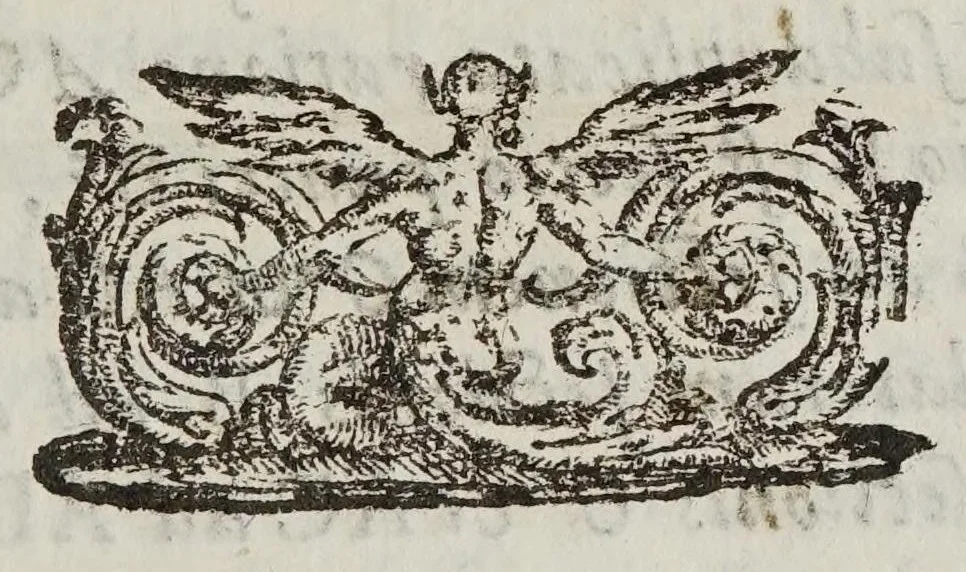 An illustration from De motv natvrali; gravivm solidorvm et liqvidorvm, 1646, leaf 147