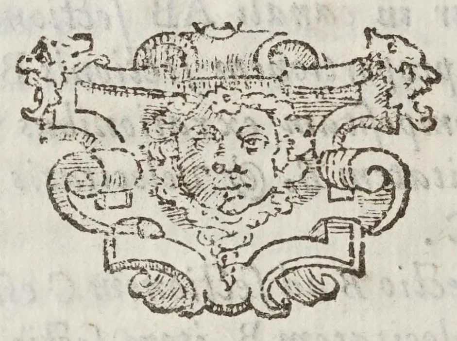 An illustration from De motv natvrali; gravivm solidorvm et liqvidorvm, 1646, leaf 150