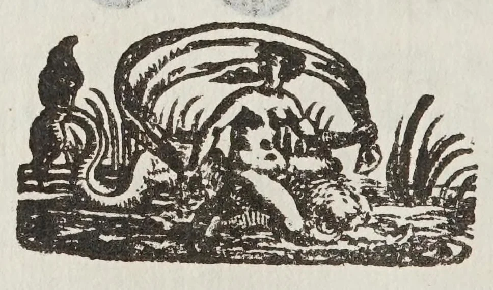 An illustration from De motv natvrali; gravivm solidorvm et liqvidorvm, 1646, leaf 162