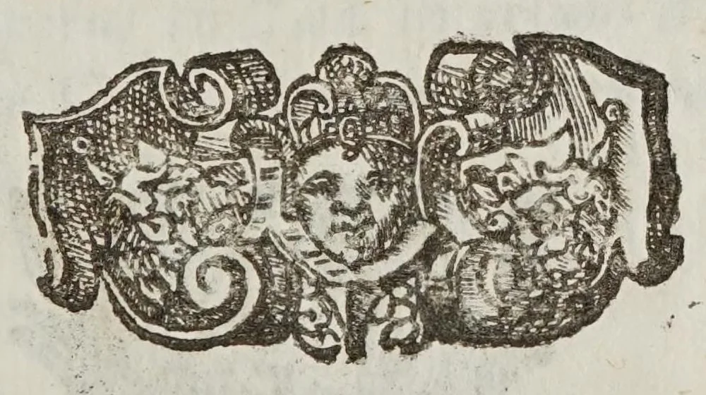 An illustration from De motv natvrali; gravivm solidorvm et liqvidorvm, 1646, leaf 165