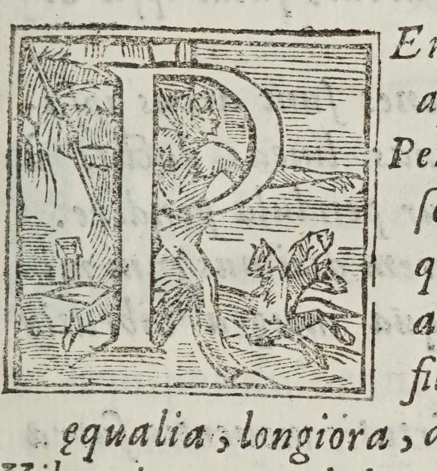 An illustration from De motv natvrali; gravivm solidorvm et liqvidorvm, 1646, leaf 17