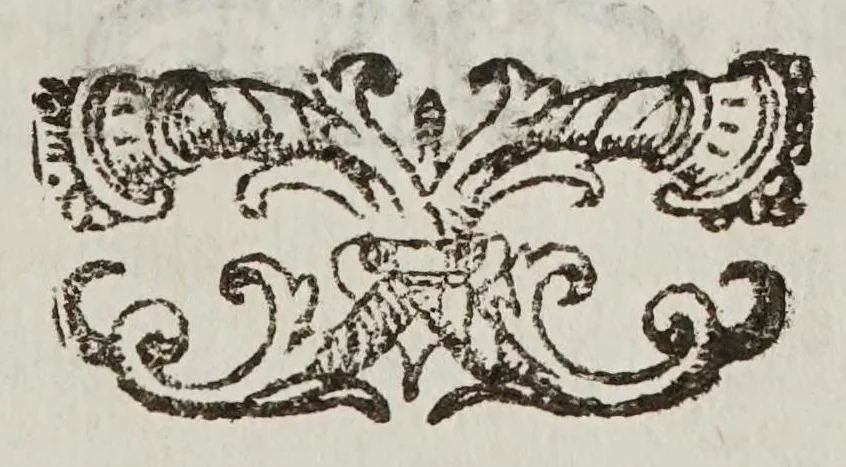An illustration from De motv natvrali; gravivm solidorvm et liqvidorvm, 1646, leaf 171