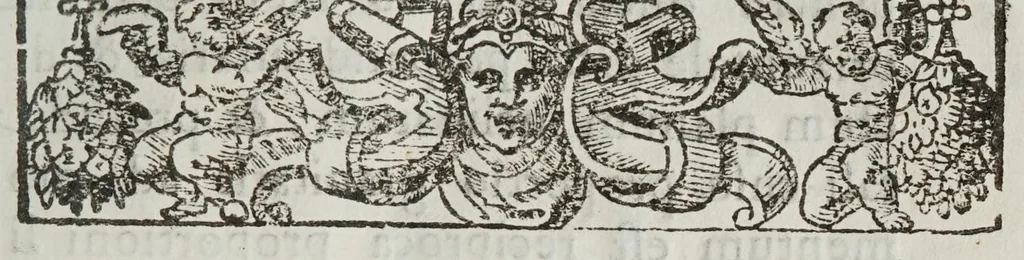 An illustration from De motv natvrali; gravivm solidorvm et liqvidorvm, 1646, leaf 19