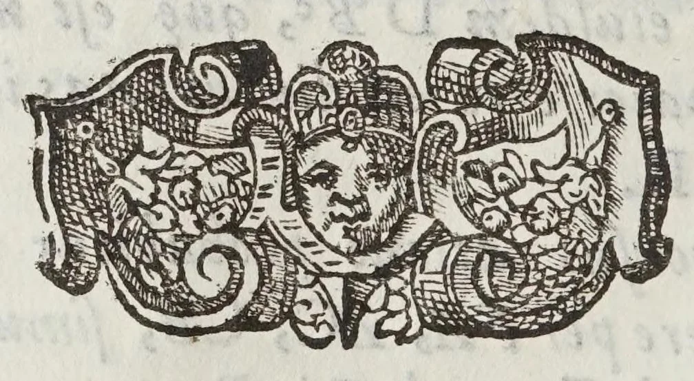 An illustration from De motv natvrali; gravivm solidorvm et liqvidorvm, 1646, leaf 58