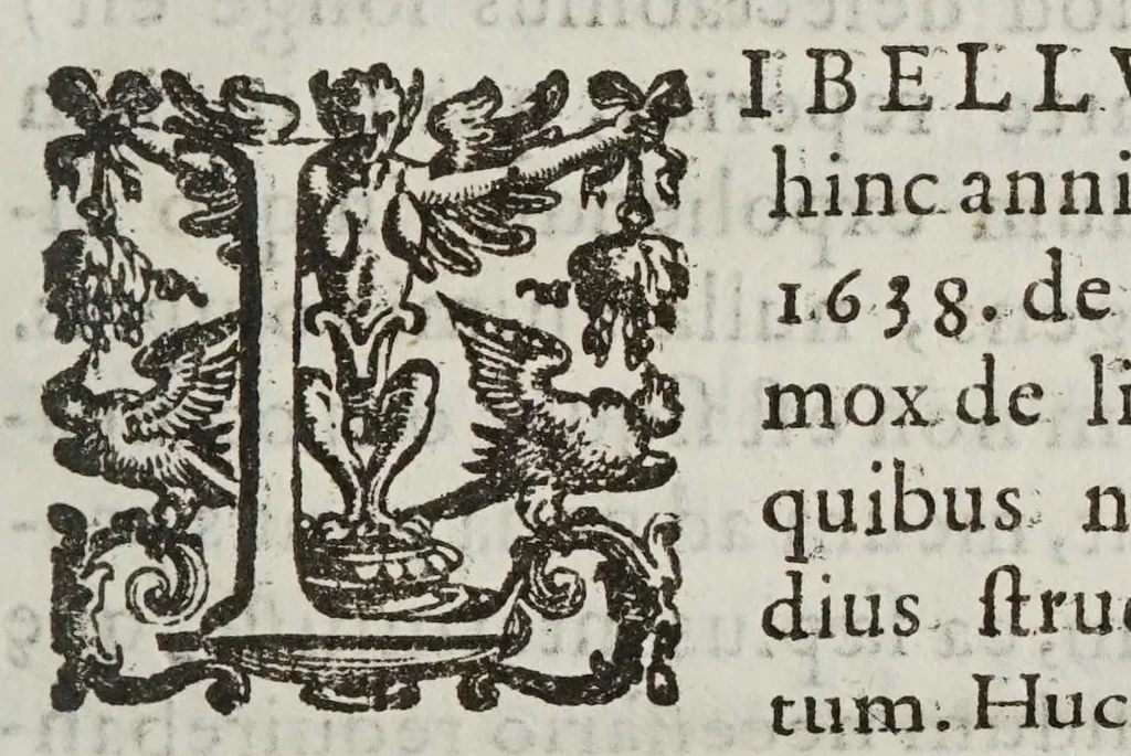 An illustration from De motv natvrali; gravivm solidorvm et liqvidorvm, 1646, leaf 59