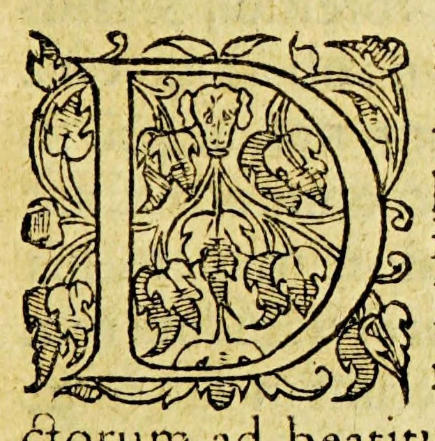An illustration from De multiplici hæreticorum tentatione,, 1560, leaf 113