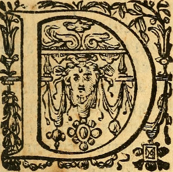 An illustration from De natura foetus disputatio, 1615, leaf 8