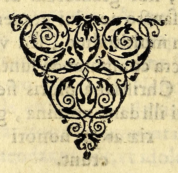 An illustration from De natura Noui Orbis libri duo, ; et De promulgatione euangelii, apud barbaros, siue De procuranda Indorum salute libri sex., 1589, leaf 302