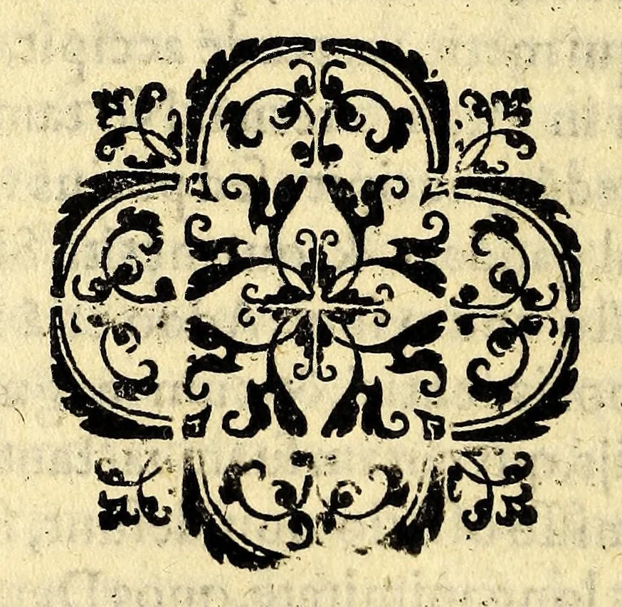 An illustration from De natura Noui Orbis libri duo, ; et De promulgatione euangelii, apud barbaros, siue De procuranda Indorum salute libri sex., 1589, leaf 502