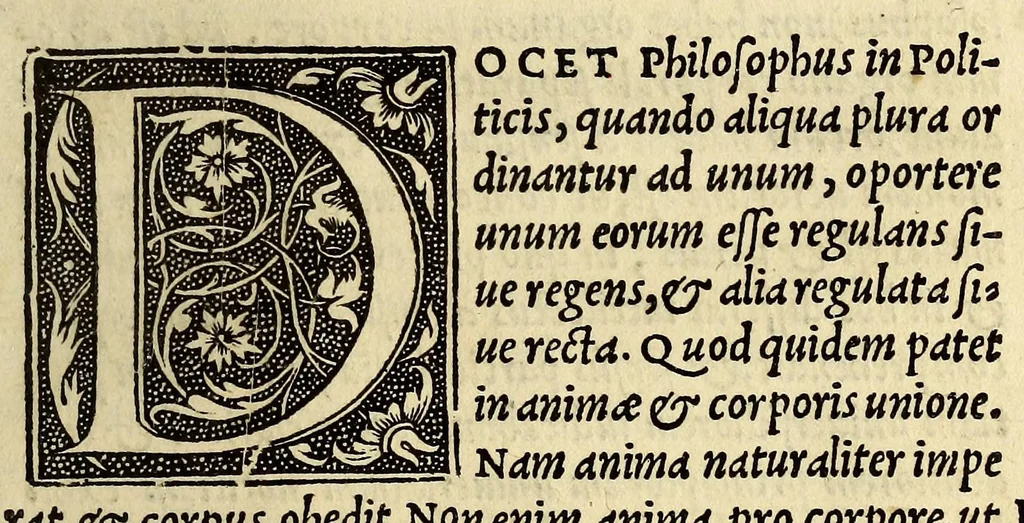 An illustration from De nauigatione libri tres : quibus mathematicæ disciplinæ explicantur:, 1549, leaf 17