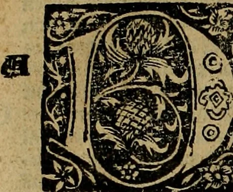An illustration from Den Bibel, met grooter neersticheyt gecorrigeert : eñ op die canten gheset den ouderdom der werelt : ende hoe lange die gheschiedenissen ende historien der Bibelen elck int zijn voor Christus gheboorte gheweest zijn : ende daer bi vergadert wt fasciculus temporum, ende wt dye cronike va alder werelt, die principael historie der machtiger heydenscher conincrijcke, daer die heylige scrift oock dickwils af vermaent, tot een claerder verstant der Bibelscher historien : ende oock een onderscheyt der tijden te hebben, 1535, leaf 121