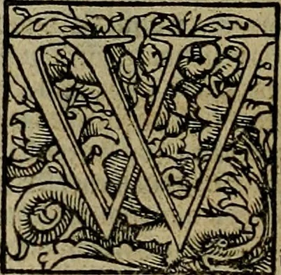 An illustration from Den Bibel, met grooter neersticheyt gecorrigeert : eñ op die canten gheset den ouderdom der werelt : ende hoe lange die gheschiedenissen ende historien der Bibelen elck int zijn voor Christus gheboorte gheweest zijn : ende daer bi vergadert wt fasciculus temporum, ende wt dye cronike va alder werelt, die principael historie der machtiger heydenscher conincrijcke, daer die heylige scrift oock dickwils af vermaent, tot een claerder verstant der Bibelscher historien : ende oock een onderscheyt der tijden te hebben, 1535, leaf 349
