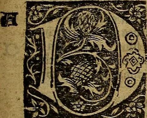 An illustration from Den Bibel, met grooter neersticheyt gecorrigeert : eñ op die canten gheset den ouderdom der werelt : ende hoe lange die gheschiedenissen ende historien der Bibelen elck int zijn voor Christus gheboorte gheweest zijn : ende daer bi vergadert wt fasciculus temporum, ende wt dye cronike va alder werelt, die principael historie der machtiger heydenscher conincrijcke, daer die heylige scrift oock dickwils af vermaent, tot een claerder verstant der Bibelscher historien : ende oock een onderscheyt der tijden te hebben, 1535, leaf 390