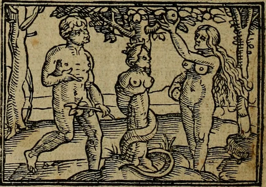 An illustration from Den Bibel, met grooter neersticheyt gecorrigeert : eñ op die canten gheset den ouderdom der werelt : ende hoe lange die gheschiedenissen ende historien der Bibelen elck int zijn voor Christus gheboorte gheweest zijn : ende daer bi vergadert wt fasciculus temporum, ende wt dye cronike va alder werelt, die principael historie der machtiger heydenscher conincrijcke, daer die heylige scrift oock dickwils af vermaent, tot een claerder verstant der Bibelscher historien : ende oock een onderscheyt der tijden te hebben, 1535, leaf 7