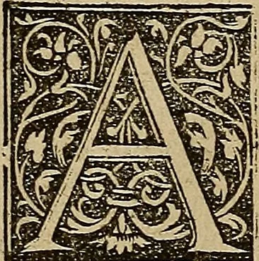 An illustration from Den Bibel, met grooter neersticheyt gecorrigeert : eñ op die canten gheset den ouderdom der werelt : ende hoe lange die gheschiedenissen ende historien der Bibelen elck int zijn voor Christus gheboorte gheweest zijn : ende daer bi vergadert wt fasciculus temporum, ende wt dye cronike va alder werelt, die principael historie der machtiger heydenscher conincrijcke, daer die heylige scrift oock dickwils af vermaent, tot een claerder verstant der Bibelscher historien : ende oock een onderscheyt der tijden te hebben, 1535, leaf 746