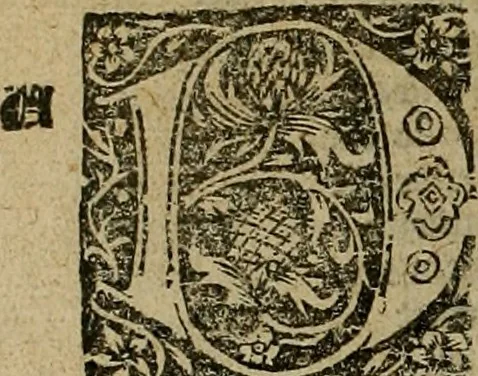 An illustration from Den Bibel, met grooter neersticheyt gecorrigeert : eñ op die canten gheset den ouderdom der werelt : ende hoe lange die gheschiedenissen ende historien der Bibelen elck int zijn voor Christus gheboorte gheweest zijn : ende daer bi vergadert wt fasciculus temporum, ende wt dye cronike va alder werelt, die principael historie der machtiger heydenscher conincrijcke, daer die heylige scrift oock dickwils af vermaent, tot een claerder verstant der Bibelscher historien : ende oock een onderscheyt der tijden te hebben, 1535, leaf 873