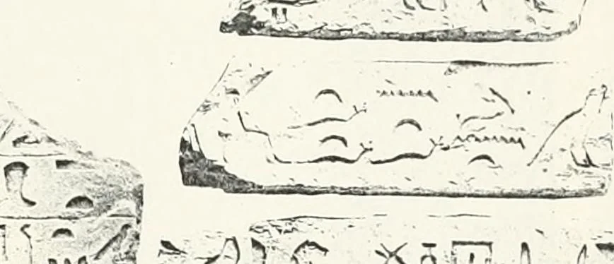 An illustration from Dendereh, 1898, 1900, leaf 101