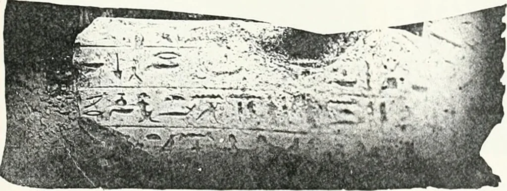 An illustration from Dendereh, 1898, 1900, leaf 101