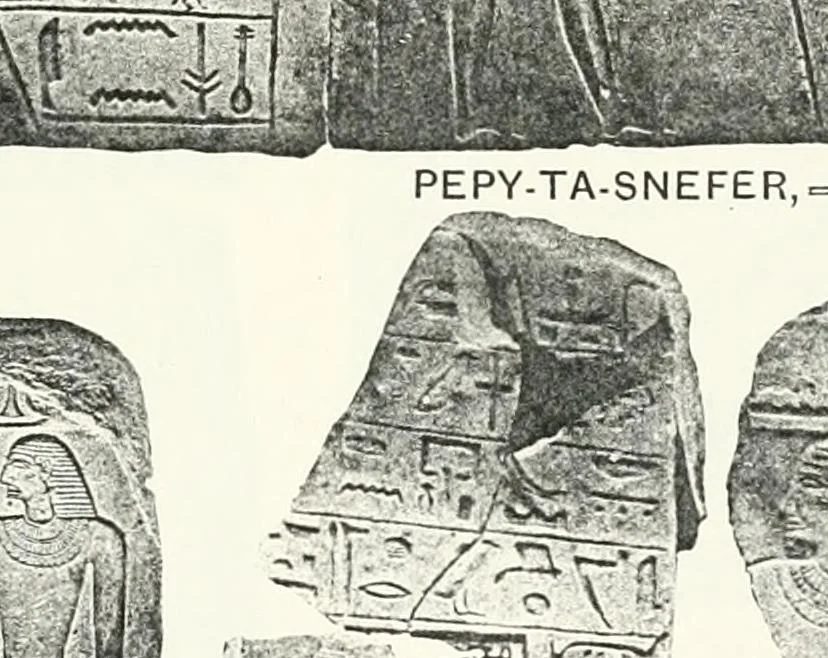 An illustration from Dendereh, 1898, 1900, leaf 103