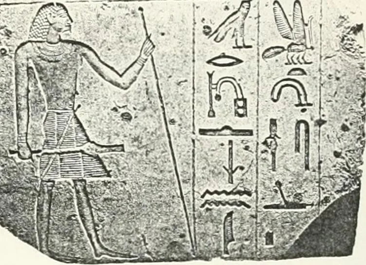 An illustration from Dendereh, 1898, 1900, leaf 103